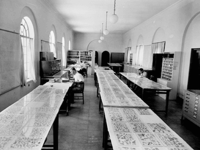 Dead Sea Scrolls - Dead Sea Scrolls Display